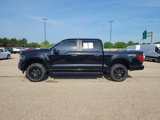 Used 2024 Ford F150 STX w/ STX Black Appearance Package image 2