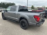 New 2025 Ford F150 STX w/ STX Black Appearance Package image 5