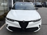 New 2025 Alfa Romeo Tonale w/ Premium Package image 2