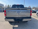 Certified 2023 Ford F150 XLT w/ Equipment Group 302A High image 5