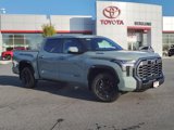 New 2025 Toyota Tundra Platinum image 2