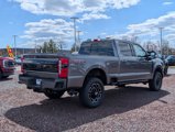 New 2025 Ford F250 Platinum image 3