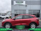 New 2025 Ford Escape Active w/ Cold Weather Package image 4
