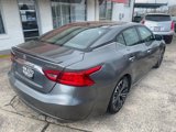 Used 2017 Nissan Maxima Platinum w/ Medallion Package image 4