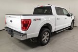 Used 2023 Ford F150 XLT w/ Equipment Group 302A High image 5