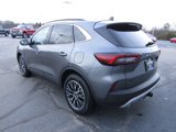 Used 2024 Ford Escape SE w/ PHEV Premium Package image 3