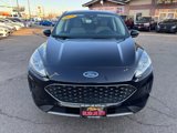Used 2020 Ford Escape SE image 3