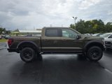 New 2025 Ford F150 Raptor image 3