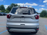 Used 2019 Ford Escape SEL image 6