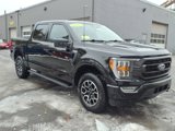 Used 2023 Ford F150 XLT w/ Equipment Group 302A High image 3