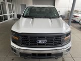 New 2025 Ford F150 XL w/ Equipment Group 103A High image 2