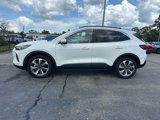 New 2025 Ford Escape Platinum w/ Premium Technology Package image 2