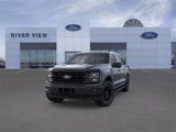 New 2025 Ford F150 XLT w/ Equipment Group 302A MID image 2