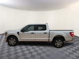 Used 2023 Ford F150 XL w/ STX Appearance Package image 2