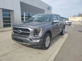 Certified 2023 Ford F150 Platinum image 1
