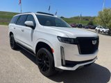 Used 2023 Cadillac Escalade Sport Platinum image 2