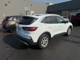 Used 2023 Ford Escape Active image 3