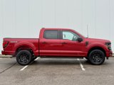 New 2025 Ford F150 STX w/ STX Black Appearance Package image 5
