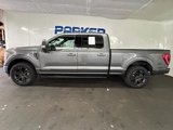 Certified 2022 Ford F150 XLT w/ Equipment Group 302A High image 2