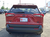 Certified 2023 Toyota RAV4 XLE Premium image 6