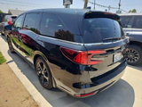 Used 2024 Honda Odyssey Sport image 5