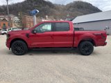 New 2025 Ford F150 XLT image 2