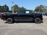 New 2025 Ford F250 Platinum image 2