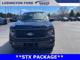 New 2025 Ford F150 STX image 5