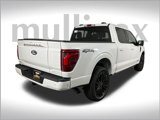 New 2025 Ford F150 Platinum w/ Equipment Group 702A High image 3