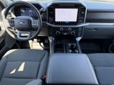 Used 2025 Ford F150 XLT w/ Equipment Group 302A MID image 3