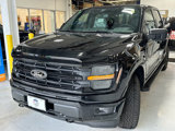 New 2025 Ford F150 XLT image 3