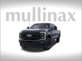 New 2025 Ford F250 Platinum image 3