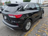 Used 2021 Ford Escape SE w/ Cold Weather Package image 3
