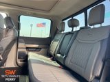 New 2025 Ford F250 Platinum image 5