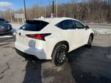 Used 2020 Lexus NX 300 AWD w/ Comfort Package image 5