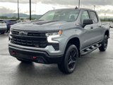 New 2025 Chevrolet Silverado 1500 LT Trail Boss w/ Protection Package image 3