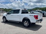Certified 2023 Ford F150 XLT w/ Equipment Group 302A High image 4