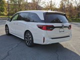 New 2025 Honda Odyssey Elite image 4