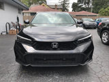 Used 2025 Honda Civic Sport image 3