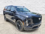 Used 2025 Cadillac Escalade Sport Platinum w/ LPO, ONYX Package image 5