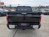 New 2025 Toyota Tundra 1794 Edition image 6