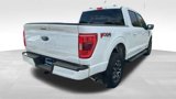 Used 2023 Ford F150 XLT w/ Equipment Group 302A High image 5