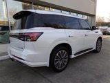 New 2025 INFINITI QX80 Luxe w/ Cargo Package image 3