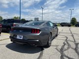 New 2025 Ford Mustang Coupe image 4