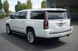 Used 2017 Cadillac Escalade ESV Luxury image 5