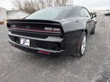 New 2025 Dodge Charger R/T Scat Pack w/ Track Pack image 4