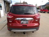 Used 2014 Ford Escape Titanium image 2