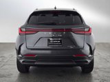 New 2025 Lexus NX 350h AWD w/ Premium Package image 4