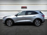 Used 2022 Ford Escape SEL image 4