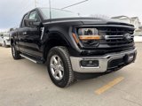 New 2025 Ford F150 XLT w/ Equipment Group 301A Standard image 4